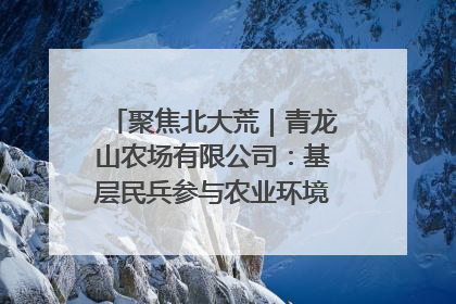聚焦北大荒｜青龙山农场有限公司：基层民兵参与农业环境综合治理显效